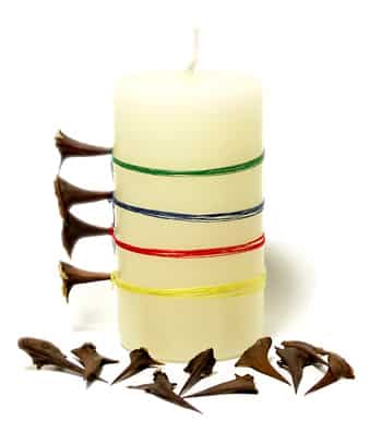 candle thorns kl